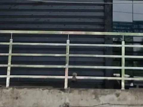 Railing and steps, At the entrance